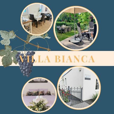 Villa Bianca - Holiday & Business Elsenfeld Exteriér fotografie