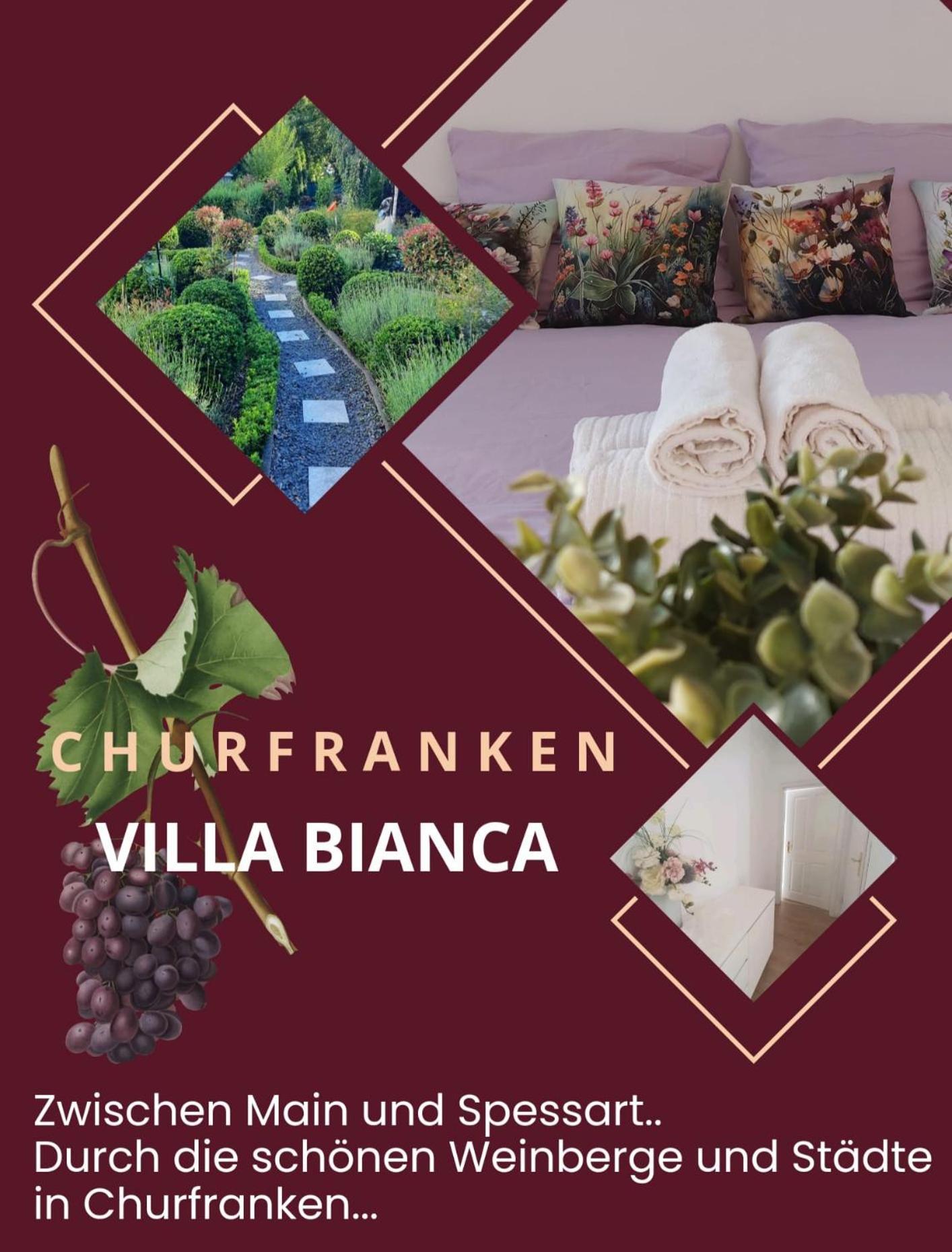 Villa Bianca - Holiday & Business Elsenfeld Exteriér fotografie