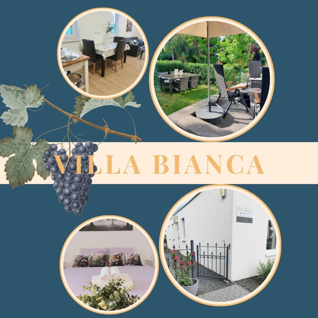 Villa Bianca - Holiday & Business Elsenfeld Exteriér fotografie